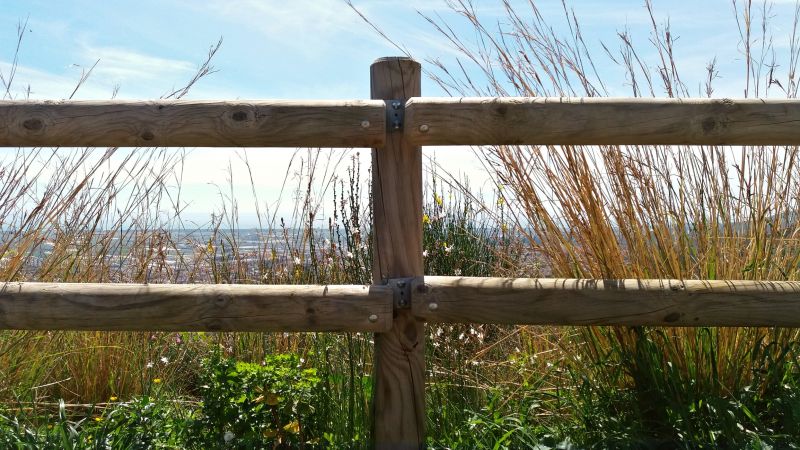 Eco-Friendly Options