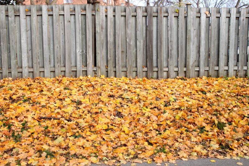 Fall Fence Care